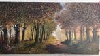 Schilderij 60x120, Ophalen