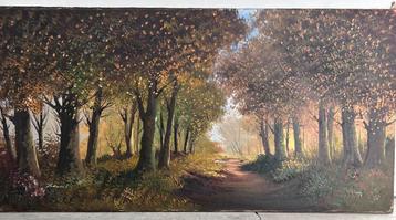 Schilderij 60x120 beschikbaar voor biedingen