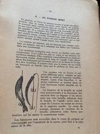 Victor Dechamps - Nos poissons - Nos méthodes de pêche 1925, Antiek en Kunst, Ophalen, Victor Dechamps