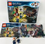 Lego 75950 Harry Potter Aragog’s Lair VOLLEDIG, Kinderen en Baby's, Complete set, Gebruikt, Ophalen of Verzenden, Lego