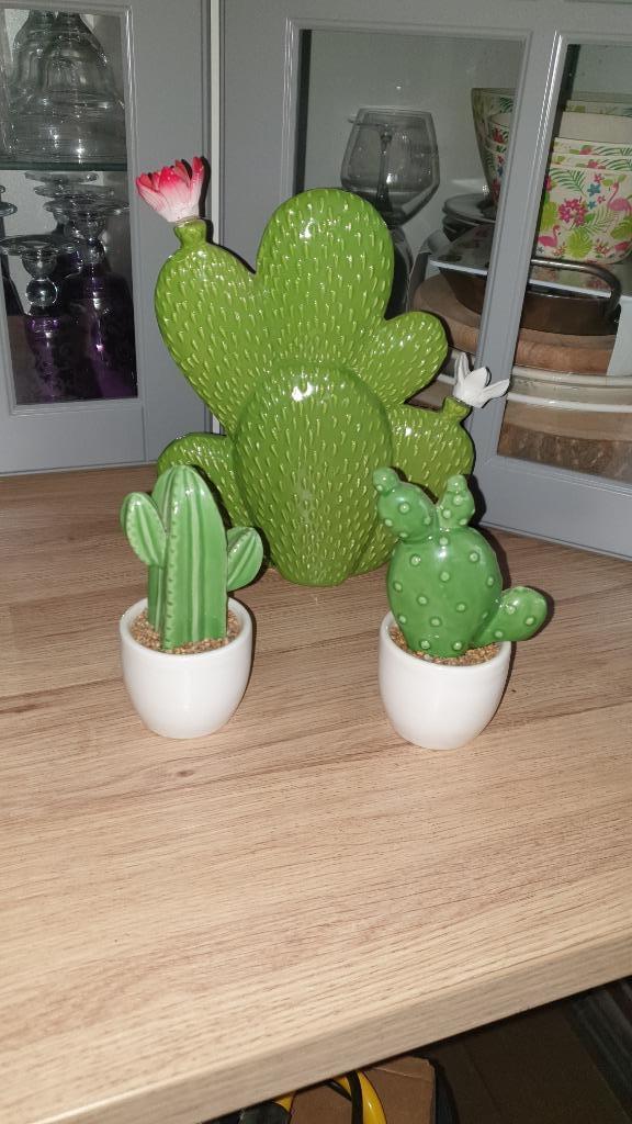 Flamand rose, mésanges et cactus, Tuin en Terras, Vogelhuisjes en Vogelbaden, Nieuw, Ophalen