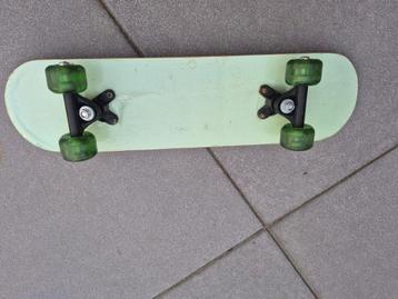 Groen 60 cm beschikbaar voor biedingen