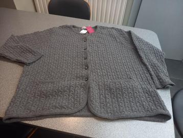 grijze gilet. XXL. Nieuw, Kleding | Dames, Trui of Vest, Nieuw, Ophalen of Verzenden, Grijs