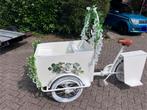 Trouw bakfiets reclame fiets, Fietsen en Brommers, Fietsen | Bakfietsen, Ophalen, Zo goed als nieuw