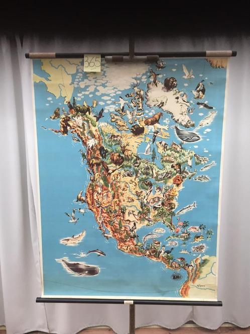Retro schoolkaart - Noord-Amerika/dieren - Kaart 365(-20%!), Huis en Inrichting, Woonaccessoires | Wanddecoraties, Gebruikt, Ophalen of Verzenden