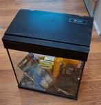 Aquarium merk Superfish, Dieren en Toebehoren, Ophalen, Gebruikt