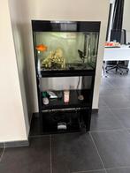 Aquarium, Dieren en Toebehoren, Ophalen, Zo goed als nieuw