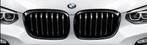 M Performance Grille hoogglans zwart nieuw BMW X3 / X4 serie, Auto-onderdelen, Overige Auto-onderdelen, Nieuw, Ophalen of Verzenden