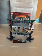 Lego 75810 Stranger Things, Kinderen en Baby's, Speelgoed | Duplo en Lego, Ophalen, Zo goed als nieuw, Lego