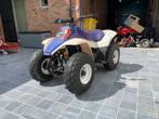 Suzuki suad lt80, Motoren
