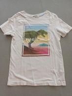 T-shirt Dino maat 110, Ophalen of Verzenden, Zo goed als nieuw