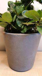 Bloempot, steen, grijs, hoogte 12cm, binnen diameter 10,5cm, Tuin en Terras, Ophalen, Steen, Binnen