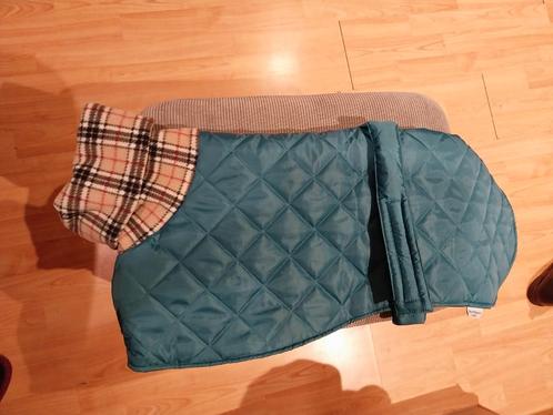 Hondenjas voor grote whippet of galgo turquoise, Dieren en Toebehoren, Hondenkleding, Nieuw, Hondenjas, Ophalen of Verzenden