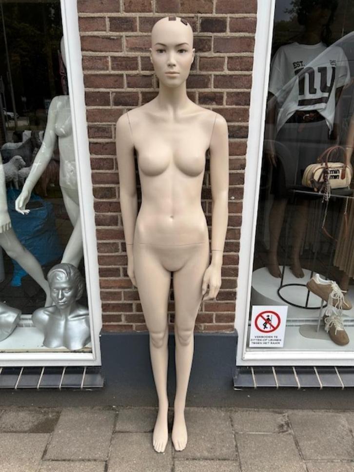 Hans Boodt Etalagepop  mannequin paspop Aziatisch Uiterlijk, Kleding | Dames, Overige Dameskleding, Ophalen of Verzenden