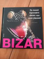 Bizar - Charline Zeitoun NIEUW, Enlèvement ou Envoi, Neuf, C. Zeitoun, Non-fiction