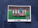 panini sticker Football 78 nr 317, Ophalen of Verzenden, Nieuw, Sticker