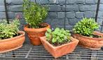 4 bloempotten met planten, Tuin en Terras, Ophalen, Zo goed als nieuw