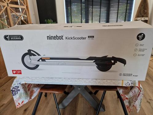 Dising Ninebot, Fietsen en Brommers, Steps, Zo goed als nieuw, Ophalen