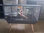 Cage pour Hamster, 75 à 110 cm, Cage, Enlèvement, Utilisé