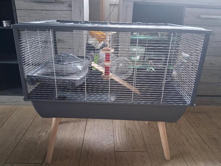 Cage pour Hamster, Animaux & Accessoires, Rongeurs & Lapins | Cages & Clapiers, Utilisé, Cage, 60 à 90 cm, 75 à 110 cm, Hamster