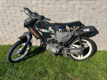 Honda wallaroo, Enlèvement