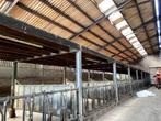 Volledige stalinrichting (512 m2) voor runderen!!, Meerdere dieren