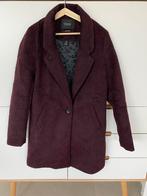 Scotch en soda halflange jas, Ophalen, Zo goed als nieuw, Maat 34 (XS) of kleiner, Overige kleuren