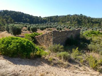 Finca in Mazaleón (Aragón, Spanje) - 1072 beschikbaar voor biedingen