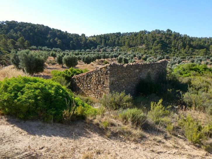 Finca in Mazaleón (Aragón, Spanje) - 1072, Immo, Buitenland, Spanje, Overige soorten, Landelijk