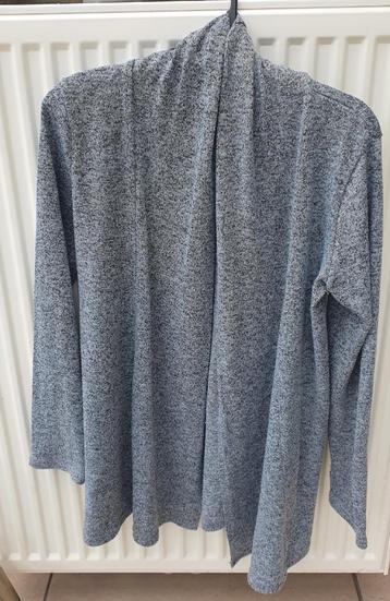 Grijze vest maat S beschikbaar voor biedingen