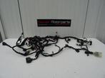 Kabelboom / Wire Harness Kawasaki ZX10R Ninja 2016-2017-2018, Utilisé