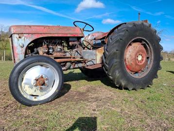 Massey Ferguson est sans papiers, Enlèvement, Oldtimer/Ancêtre, Massey Ferguson