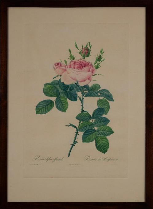 Rose, Antiquités & Art, Curiosités & Brocante, Enlèvement