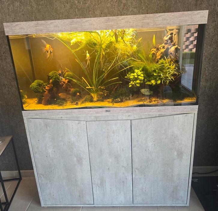 Aquarium, Dieren en Toebehoren, Vissen | Aquaria en Toebehoren, Gebruikt, Gevuld zoetwateraquarium, Ophalen