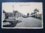 Postkaart Groot-Vorst Borgtstraat, Verzamelen, Ophalen of Verzenden, 1940 tot 1960, Ongelopen, Antwerpen