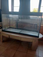 Aquarium Juwel aquarium Rio 300, Dieren en Toebehoren, Ophalen, Zo goed als nieuw