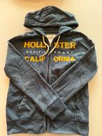 Hippe Hollister vest, Vêtements | Hommes, Pulls & Vestes, Comme neuf, Bleu, Taille 46 (S) ou plus petite, Enlèvement