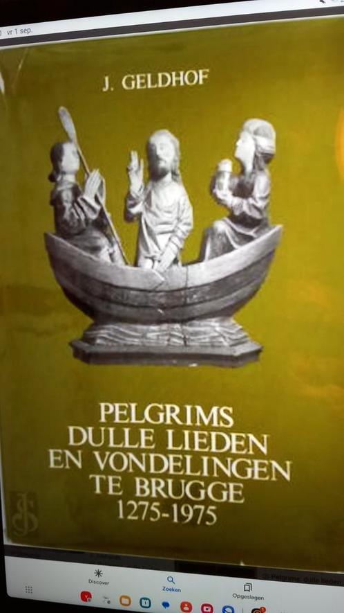 Pelgrims, dulle lieden en vondelingen te Brugge, Boeken, Geschiedenis | Stad en Regio, Ophalen of Verzenden