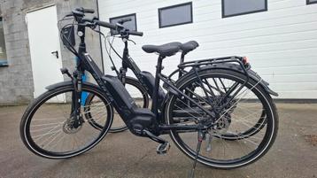 Set norta elektrische fietsen met bosch motor beschikbaar voor biedingen