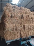 Kleine balen hooi 2025, Zakelijke goederen, Landbouw | Veevoer, Ophalen