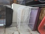 19 hamsterkooien en rond de 30 hamsters, Dieren en Toebehoren, Knaagdieren, Juli, Meerdere dieren, Hamster
