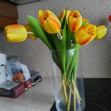 Tulpen nieuw