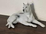 Grand Danois chien en porcelaine, Gebrüder Heubach, Enlèvement