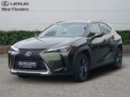 Lexus UX 250h Business Line+cam+gps+sens V+A, Autos, Lexus, 5 portes, Automatique, 184 ch, Vert