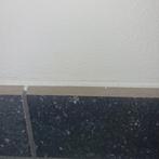 Plinten, Ophalen, Overige materialen, Nieuw, Minder dan 100 cm
