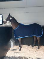 B pony, Dieren en Toebehoren, Merrie, Gechipt, B pony (1.17m tot 1.27m), 11 jaar of ouder