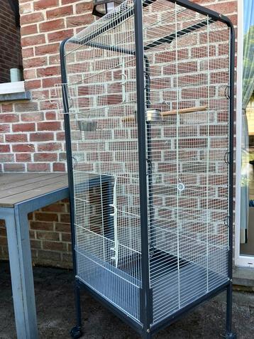 KOOI VOOR ROZELLA/VALKPARKIET/BERGPARKIET: NU 125 EURO beschikbaar voor biedingen