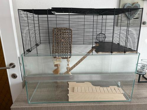 Knaagdierkooi, Dieren en Toebehoren, Knaagdieren en Konijnen | Hokken en Kooien, Zo goed als nieuw, Kooi, 60 tot 90 cm, 75 tot 110 cm