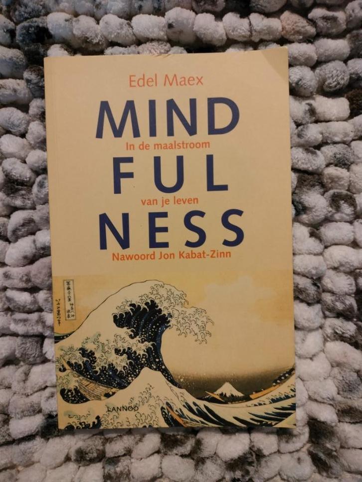 Edel Maex - Mindfullness, in de maalstroom van je leven, Boeken, Psychologie, Gelezen, Ophalen of Verzenden