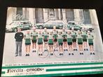 Wielerkaart 1978 team fiorella citroen  battaglin, Envoi, Comme neuf